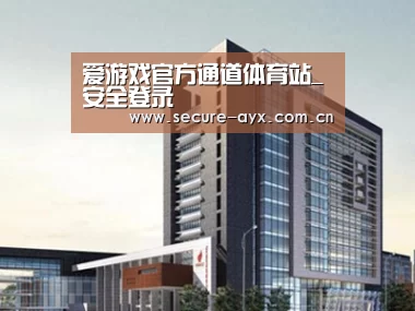 案例展示七