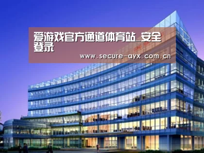 案例展示五