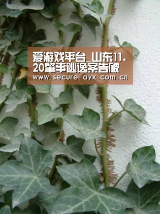 爱游戏体育平台