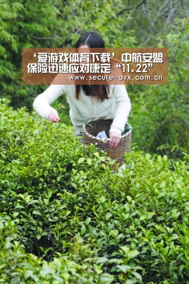 ‘爱游戏体育下载’中航安盟保险迅速应对康定“11.22”地震灾害(图4) 爱游戏