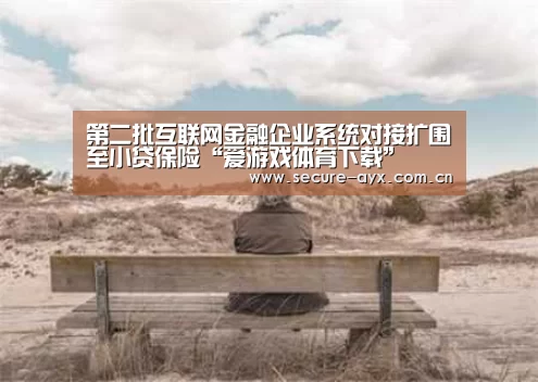 第二批互联网金融企业系统对接扩围至小贷保险“爱游戏体育下载”(图1) 爱游戏平台