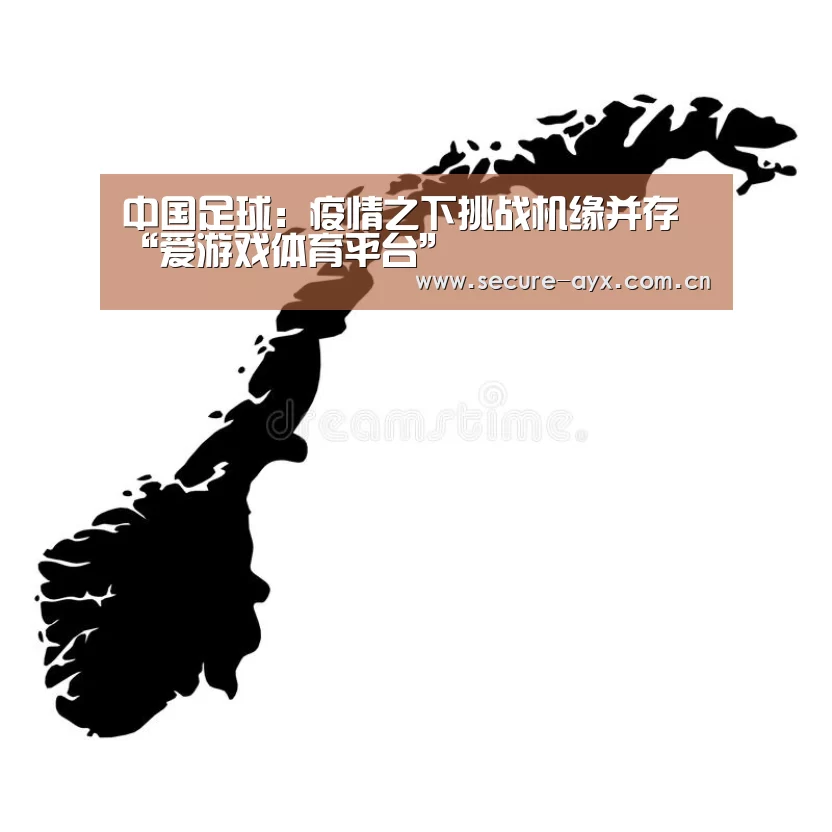 中国足球:疫情之下挑战机缘并存“爱游戏体育平台”(图2) 爱游戏体育下载